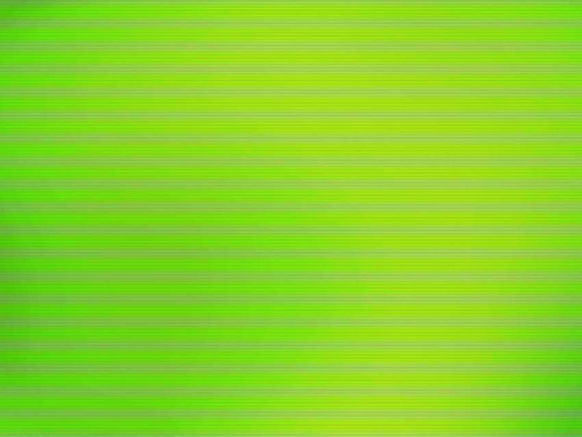 Verde claro liso, verde claro fondo de pantalla | Pxfuel