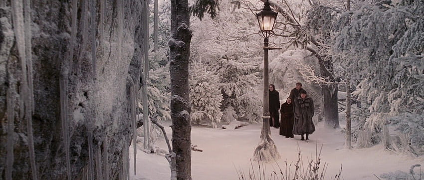 Die Chroniken von Narnia: Der Löwe, die Hexe und die Garderobe, die Chroniken von Narnia, der Löwe, die Hexe und die Garderobe HD-Hintergrundbild