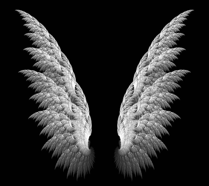 Angel Wings от _Savanna_ HD тапет