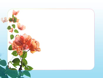 Bạn muốn Powerpoint của mình có một đường viền của hoa đẹp mắt và sang trọng? Hãy tìm kiếm những mẫu flower page borders tại hình ảnh liên quan để thêm sự tinh tế và đẳng cấp cho bài thuyết trình của bạn.