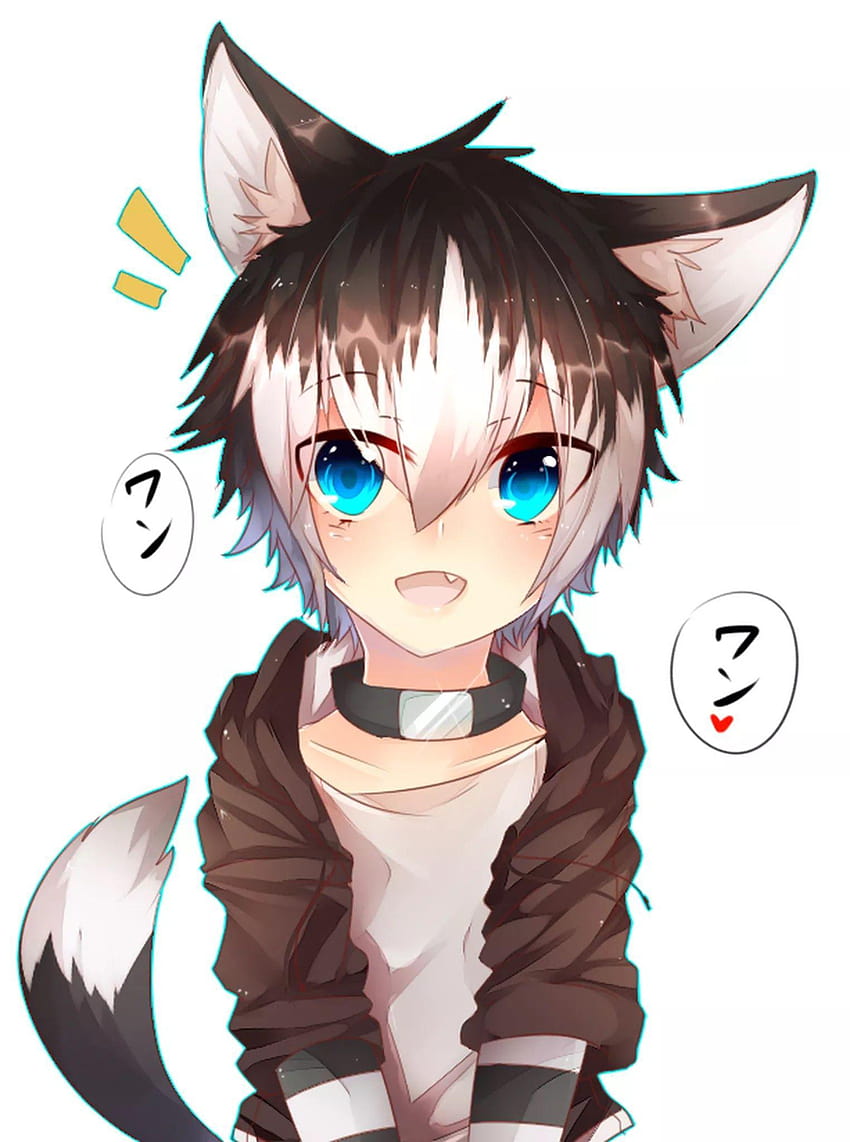Anime Wolf Boy, anime fox boy HD phone wallpaper | Pxfuel