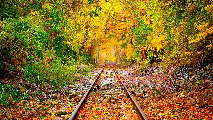 Início do outono em uma ferrovia abandonada papel de parede HD