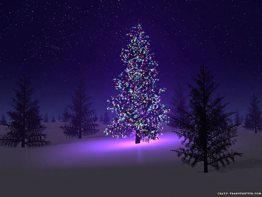 Backgrounds: Beautiful Christmas Trees, bright christmas HD wallpaper