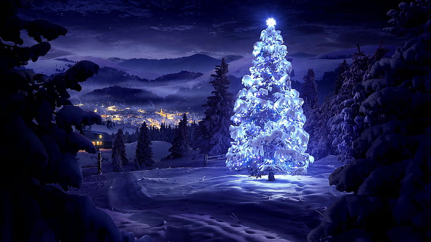Merry Christmas!, winter outdoor lights HD wallpaper