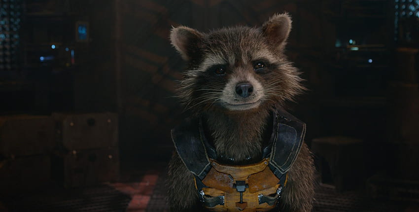 Rocket Raccoon Aus Marvels Guardians of the Galaxy, Raketenwunder HD-Hintergrundbild