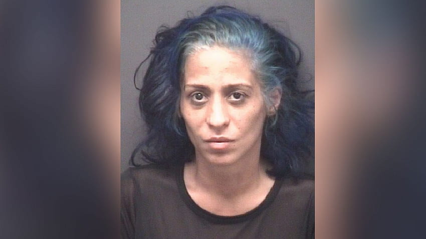 Pair arrested in connection with 'Pink Lady Bandit' bank robberies, female bank robber HD wallpaper
