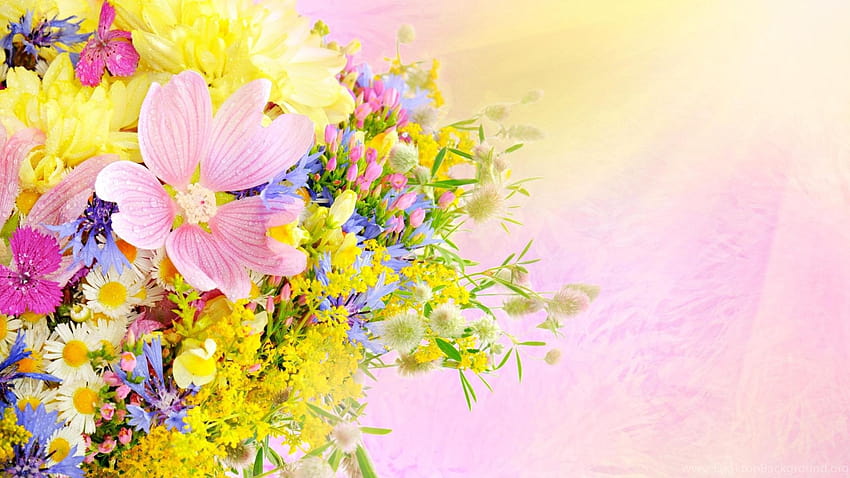 Lovely Flowers, windows 7 flowers HD wallpaper | Pxfuel