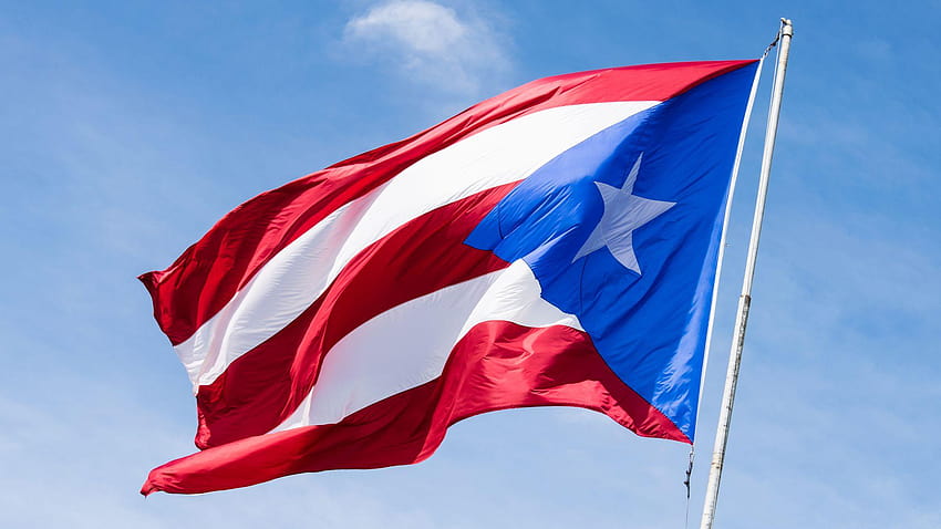 Trump quer que conselheiros encontrem uma maneira de interromper furacão em Porto Rico, porto rico em 2019 papel de parede HD