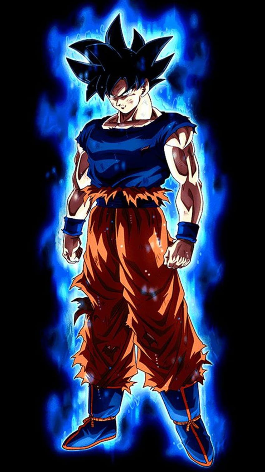 Goku Super Ultra Instinct Dragon Ball Anime Wallpaper ID:3095