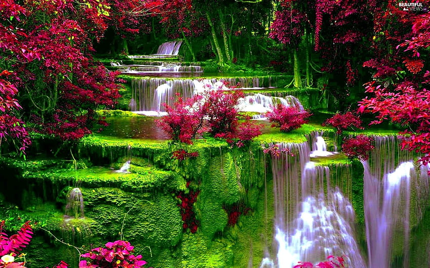 VEGETATION, waterfall, Flowers, waterfall flowers HD wallpaper