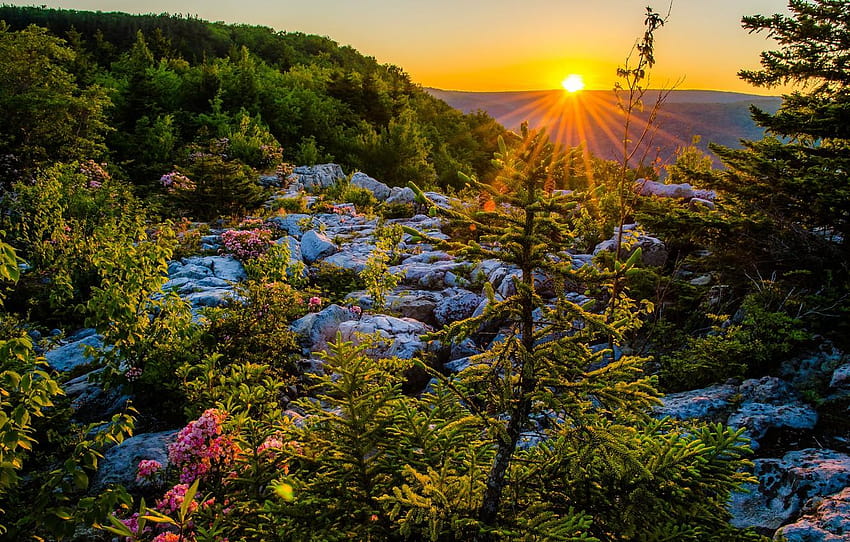 matahari terbenam, dataran tinggi, Virginia Barat, Virginia Barat, Allegheny Wallpaper HD