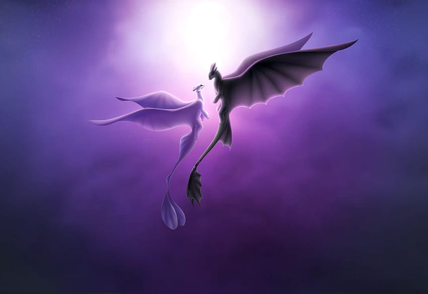Toothless and Light Fury HD wallpaper
