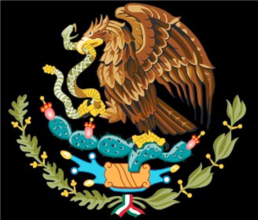 Cores grandes na bandeira mexicana México papel de parede HD