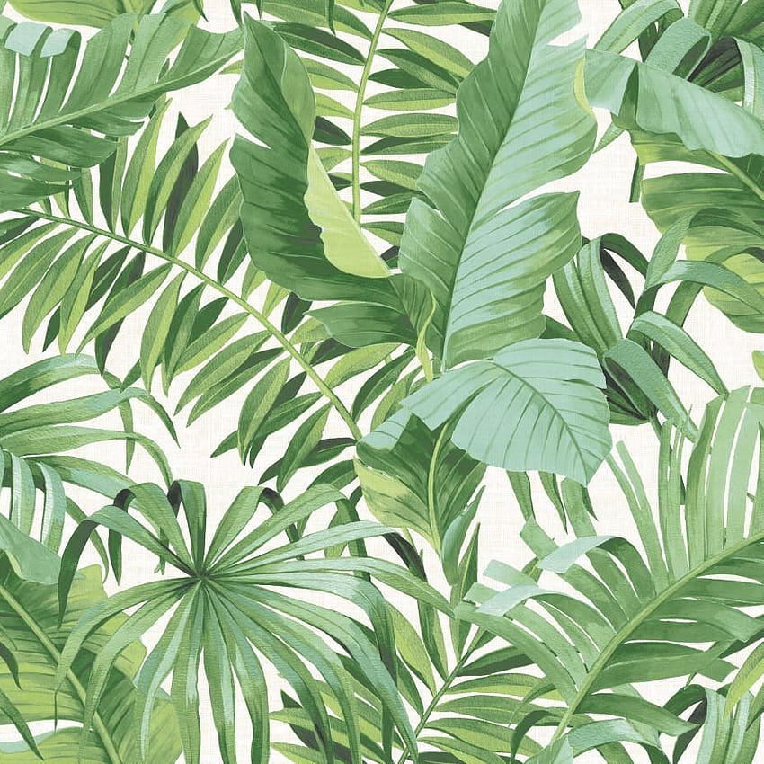 Botanical Leaf Print Green, green fern leaf HD phone wallpaper