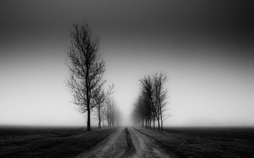 Dark Grey Landscape Road, strada buia Sfondo HD