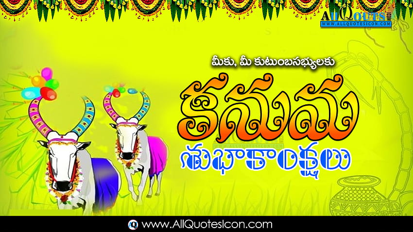 Trending Happy Kanuma Best Telugu Kanuma Greetings Online Whatsapp Kanuma  Messages Latest New 2019 Kanuma Wishes Telugu Quotes HD wallpaper | Pxfuel