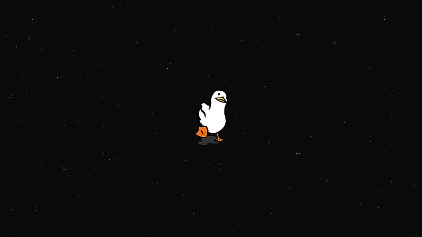 Duck Walking in Space, walking duck HD wallpaper