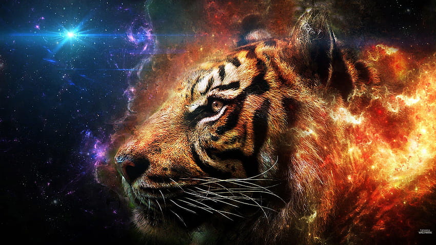 d Animated Tiger d k, tiger wildlife artwork HD wallpaper