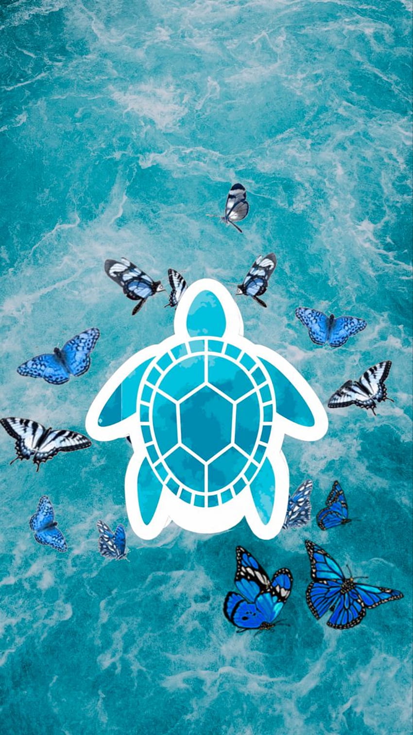 Turtle & Butterfly, aesthetic sea turtle HD phone wallpaper | Pxfuel