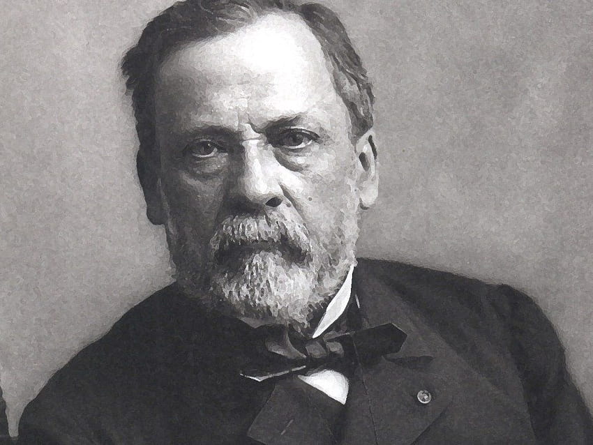 Genius, Louis Pasteur, Scientist & Backgrounds • 15615 • Wallur HD wallpaper