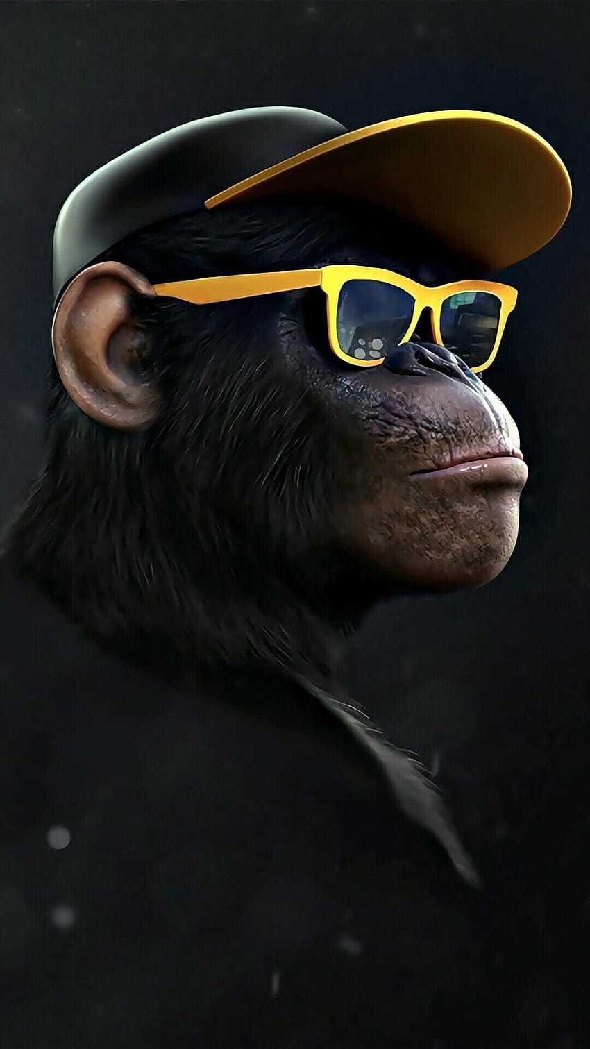 Maymun ...in.pinterest, havalı maymun HD telefon duvar kağıdı