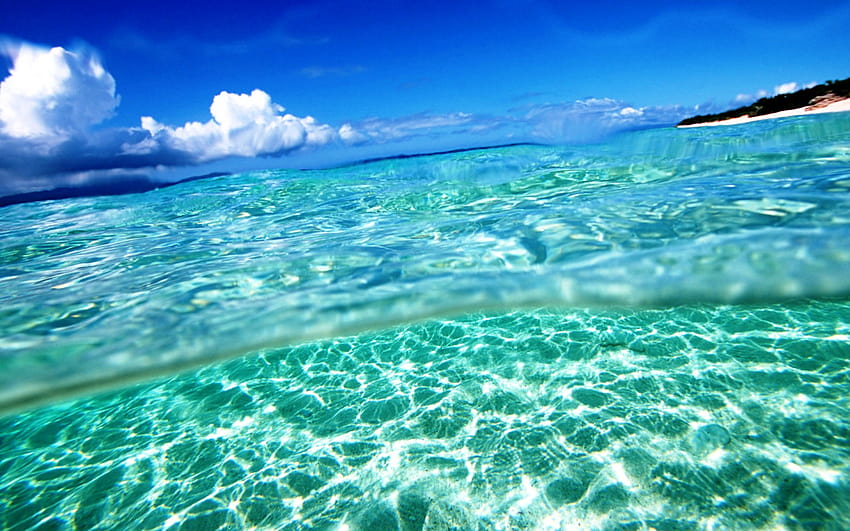 Summer Screensavers And Clear Water Summer [1920x1200] for your , Mobile & Tablet HD wallpaper