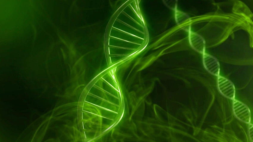スローモーション 3 d アニメーション、dna チェーンで遺伝的背景を持つ緑の DNA コード 高画質の壁紙