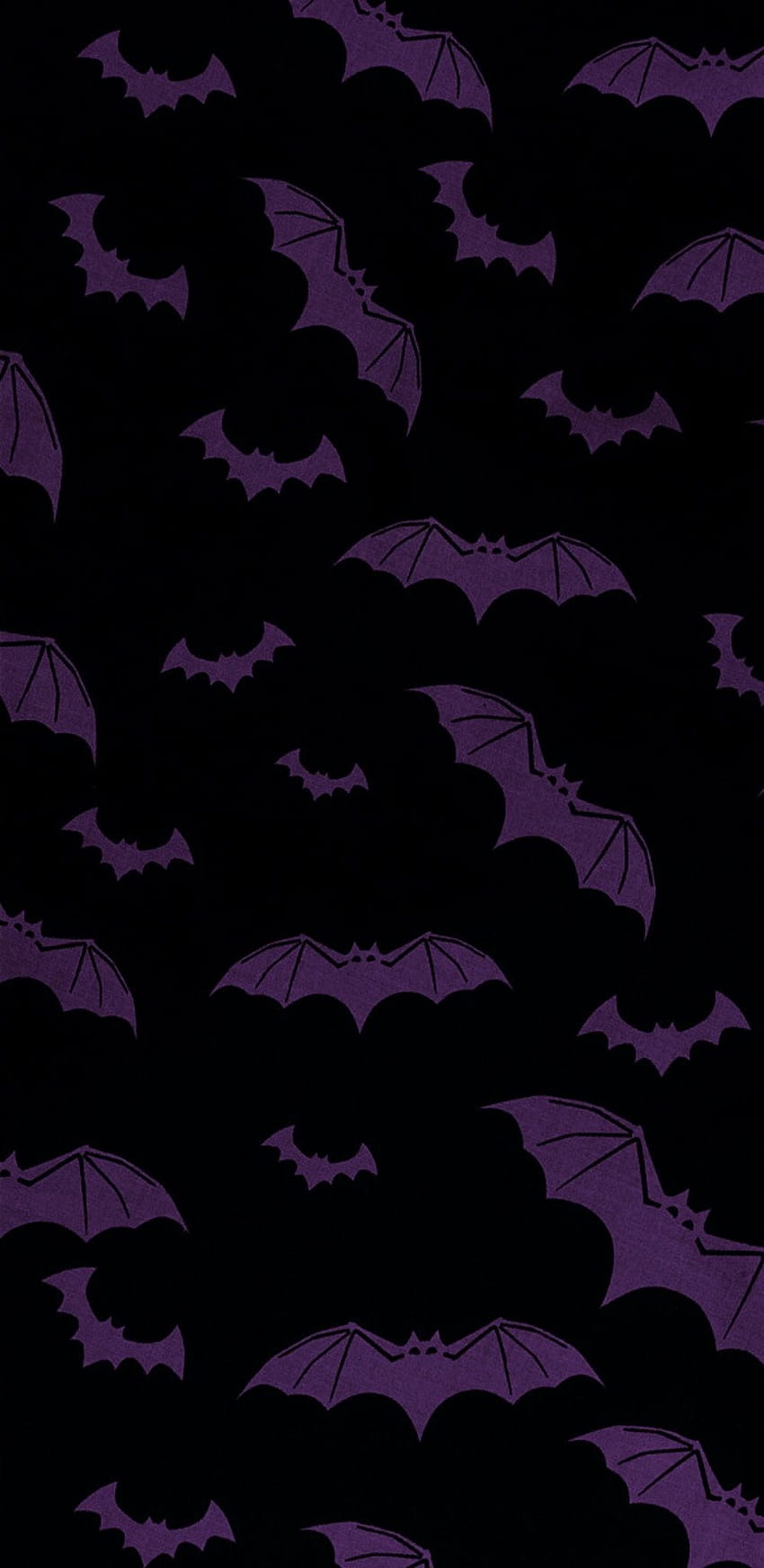 Halloween Bat, bats halloween HD phone wallpaper