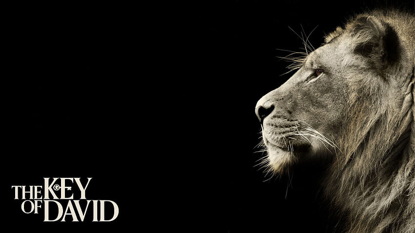 Lion de Juda posté par Ethan Peltier, lion de la tribu de juda Fond d'écran HD