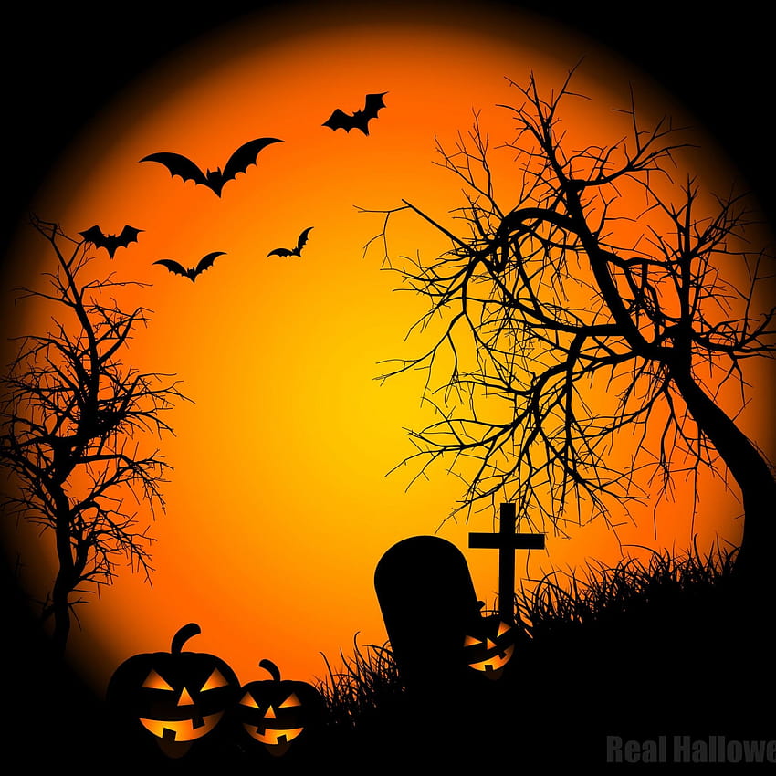  Halloween Aesthetic HD Background Wallpapers Photos Pic  CBEditz