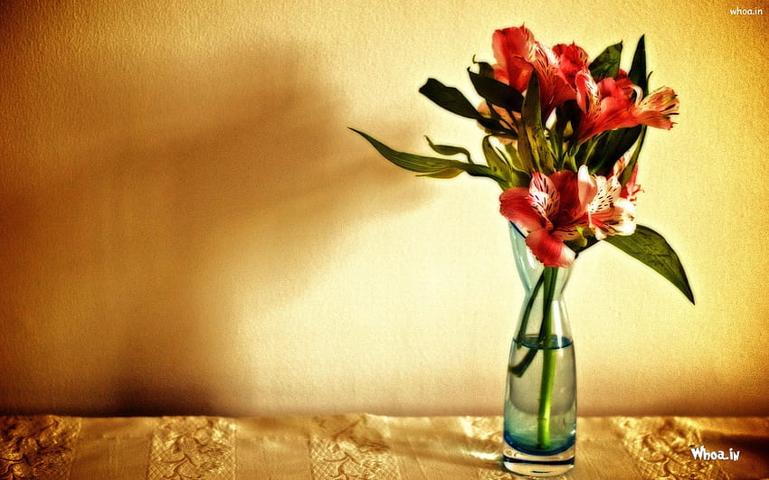 Red Flower Pot, flowerpot HD wallpaper