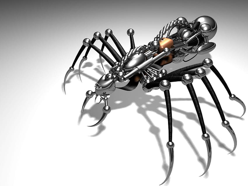 Animal que você está vendo Os robôs chamados Desk Spider Tem sido, aranha legal papel de parede HD