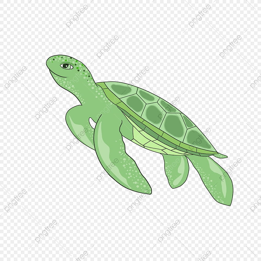 Морска костенурка PNG HD тапет за телефон