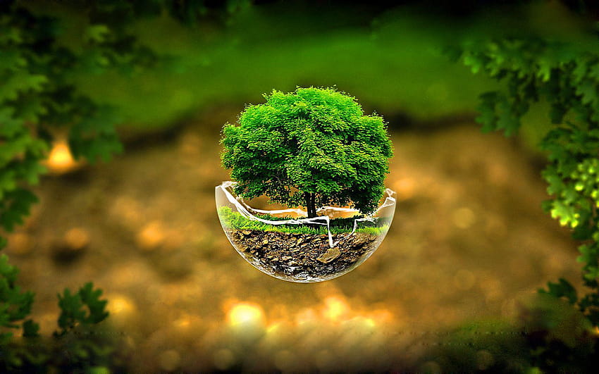 3D Nature with Flying Tree on Broken Glass HD wallpaper