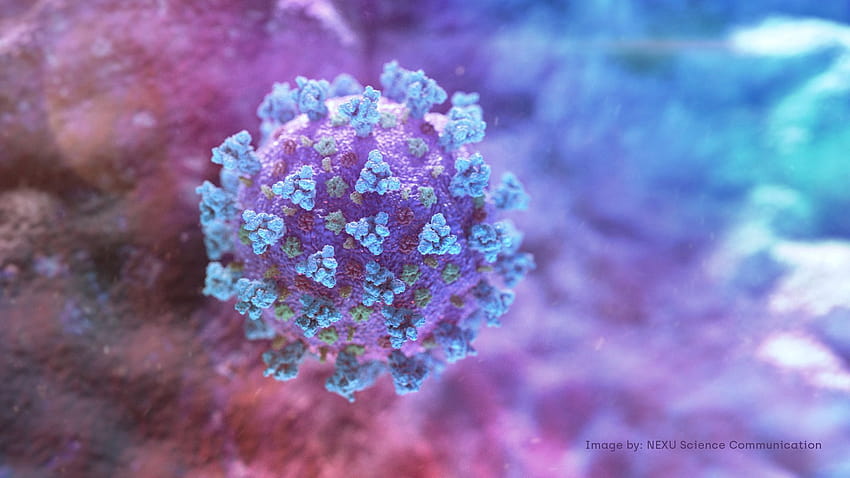 Coronavirus: how university inventions are fighting the outbreak, covid 19 HD wallpaper