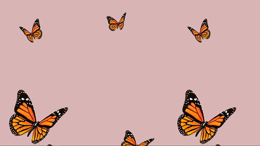 Aesthetic Butterfly MacBook, cute butterfly aesthetic HD wallpaper ...