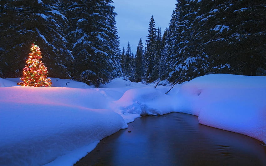 風景, 冬, 木, 雪, クリスマス, 川, 夜, クリスマスの自然 1920x1080 高画質の壁紙 | Pxfuel