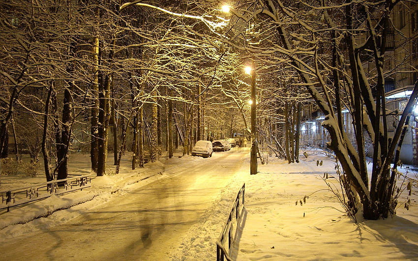 Winter Group Night Winter Hd Wallpaper Pxfuel 