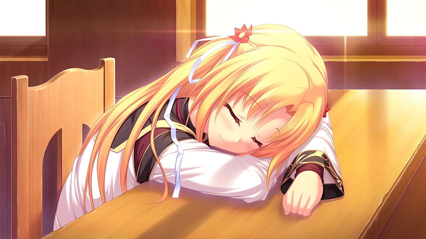 Amazing Girl Sleeping, sleepy anime girl HD wallpaper