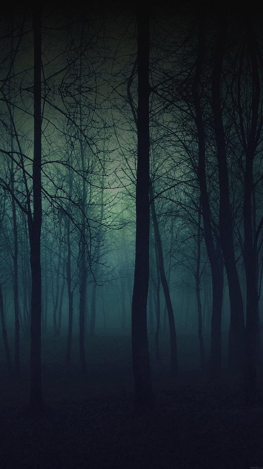 58 Perfect For Your New iPhone 7, haunted forest HD phone wallpaper