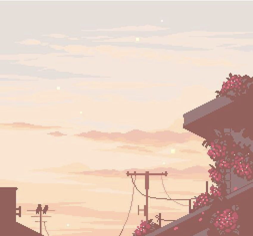 Sunset aesthetic discovered by melodytcne, pink aesthetics landscape HD ...