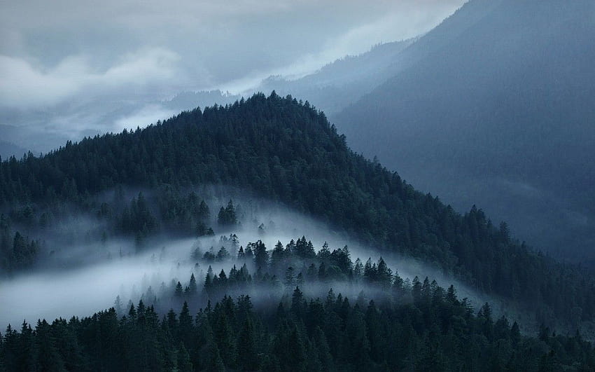 自然、風景、山、森、霧、雲、アルプス/およびモバイルの背景、森の山 高画質の壁紙