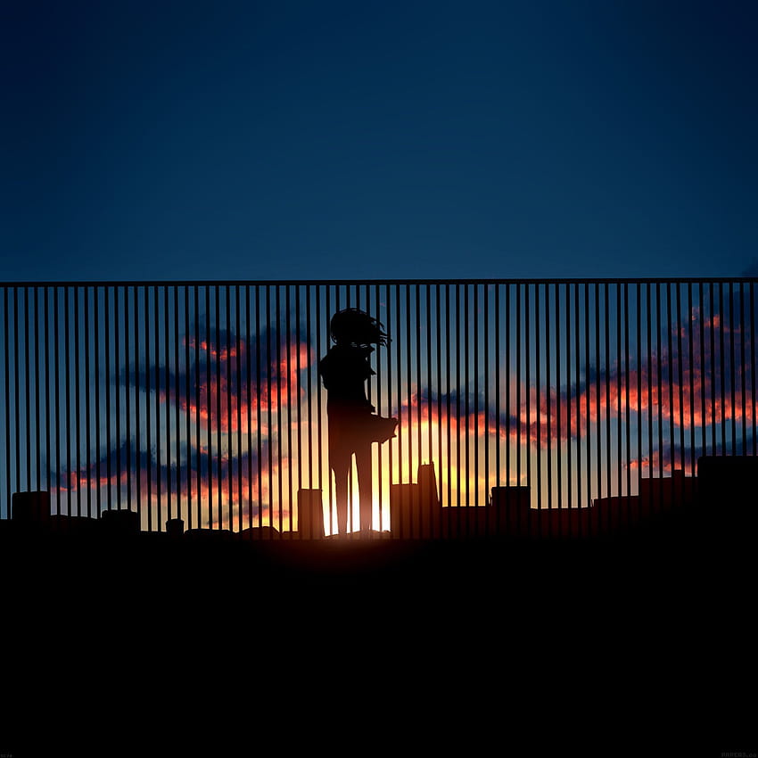 Best Anime & Cartoons iPad, anime sunset aesthetic HD phone wallpaper