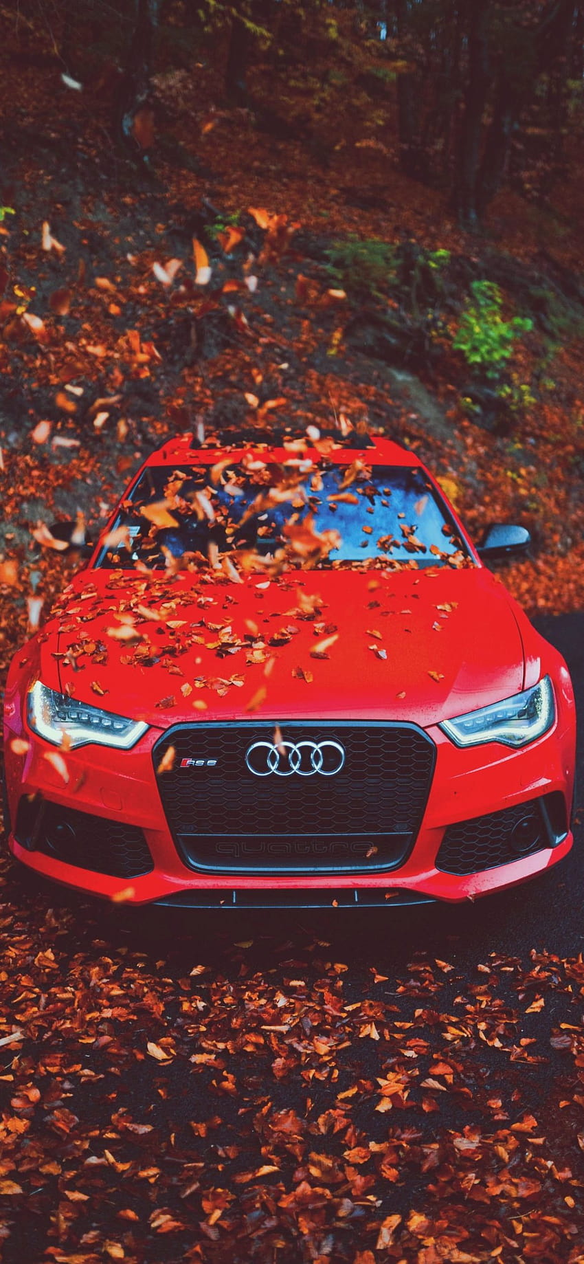 500+ Audi Wallpapers [HD] | Download Free Images On Unsplash