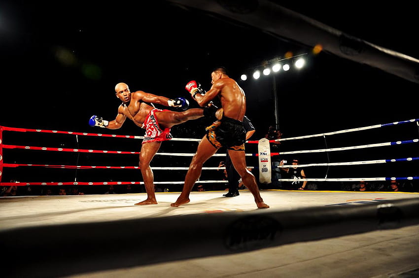 Muay Thai Knockouts, boxeo tailandés fondo de pantalla