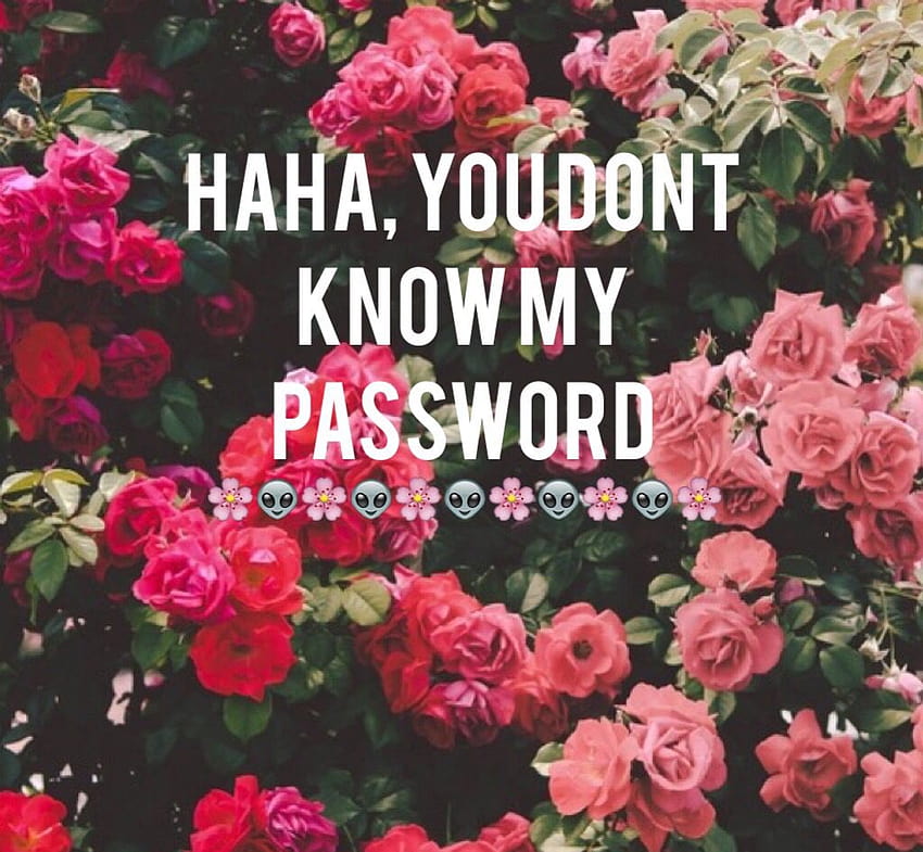 Page 2 | haha my password HD wallpapers | Pxfuel