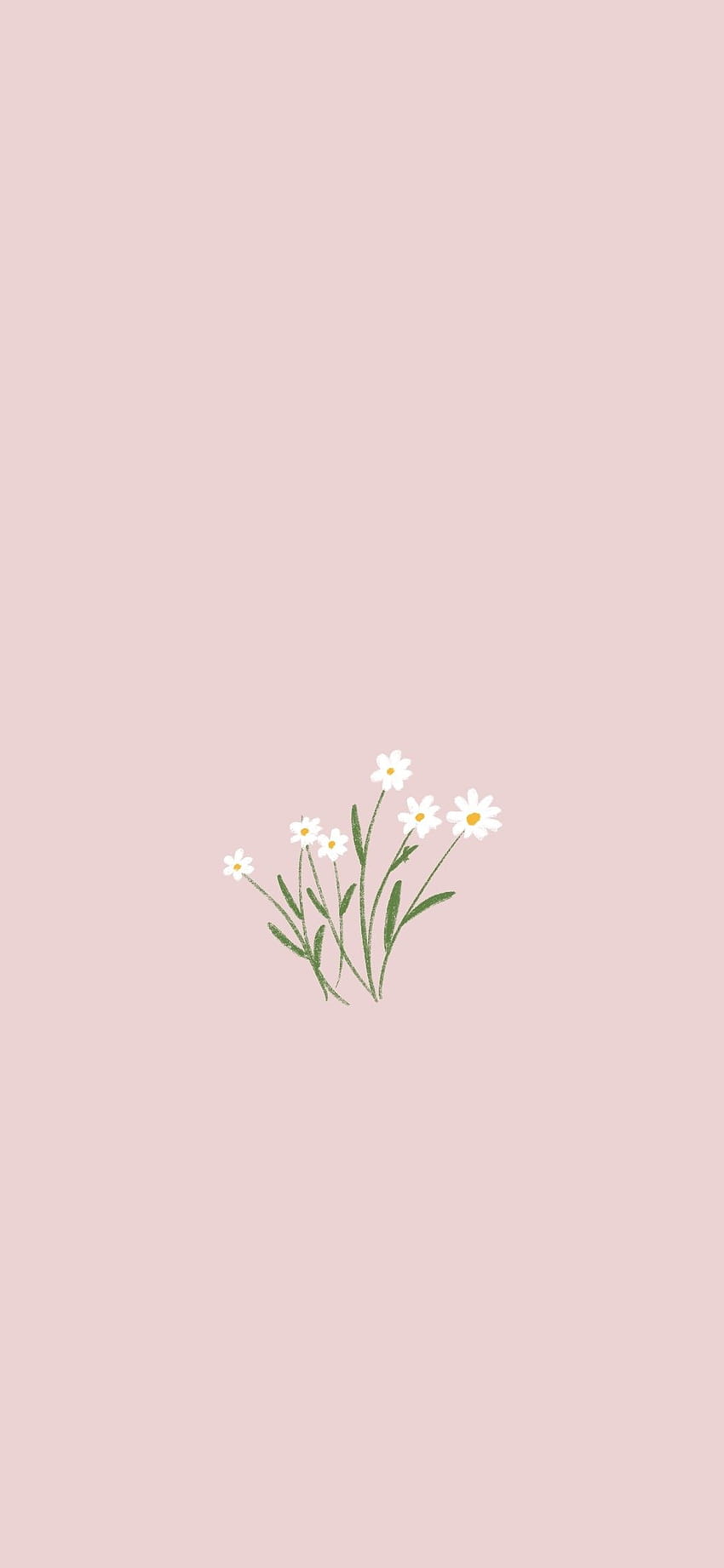 Flowers Iphone plants Minimalist phone [1080x2340] for your , Mobile ...