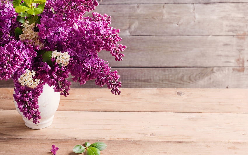 Flowers lilac vases wooden planks, spring flowers on wood HD wallpaper