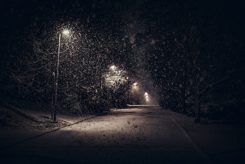 kraj, przyroda, światła uliczne, śnieg, drzewa, noc, miasto, krzewy, spokój, zima / i mobilne tła, ciemne zimowe światła uliczne Tapeta HD
