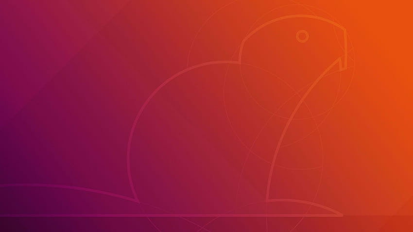 This is the New Ubuntu 18.04 Default HD wallpaper